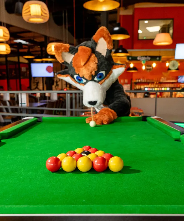 Billard & Baby-foot